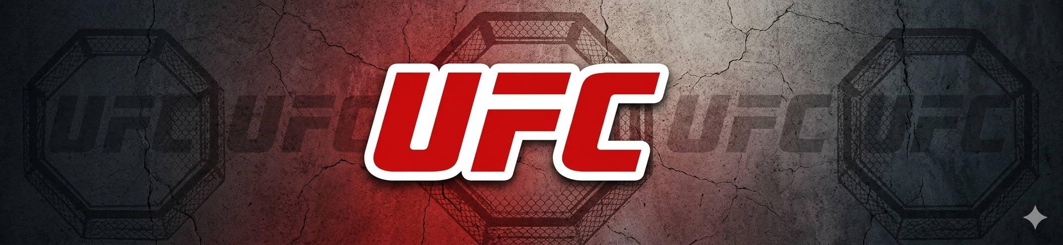 🥊 UFC
