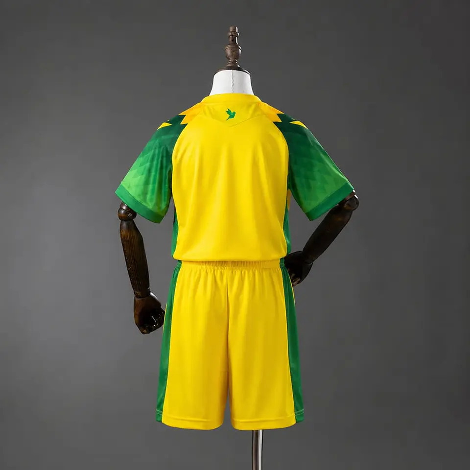 Kit Nantes I 26/27 2