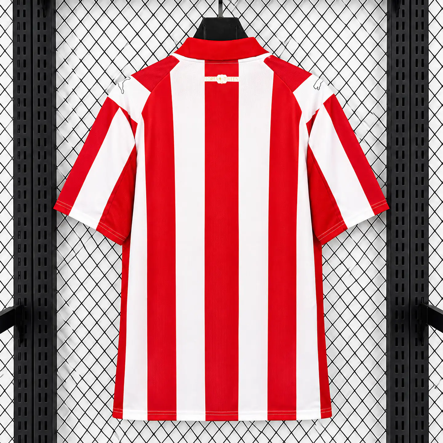 Camisola PSV 26/27 - Edição Coen Dillen 2