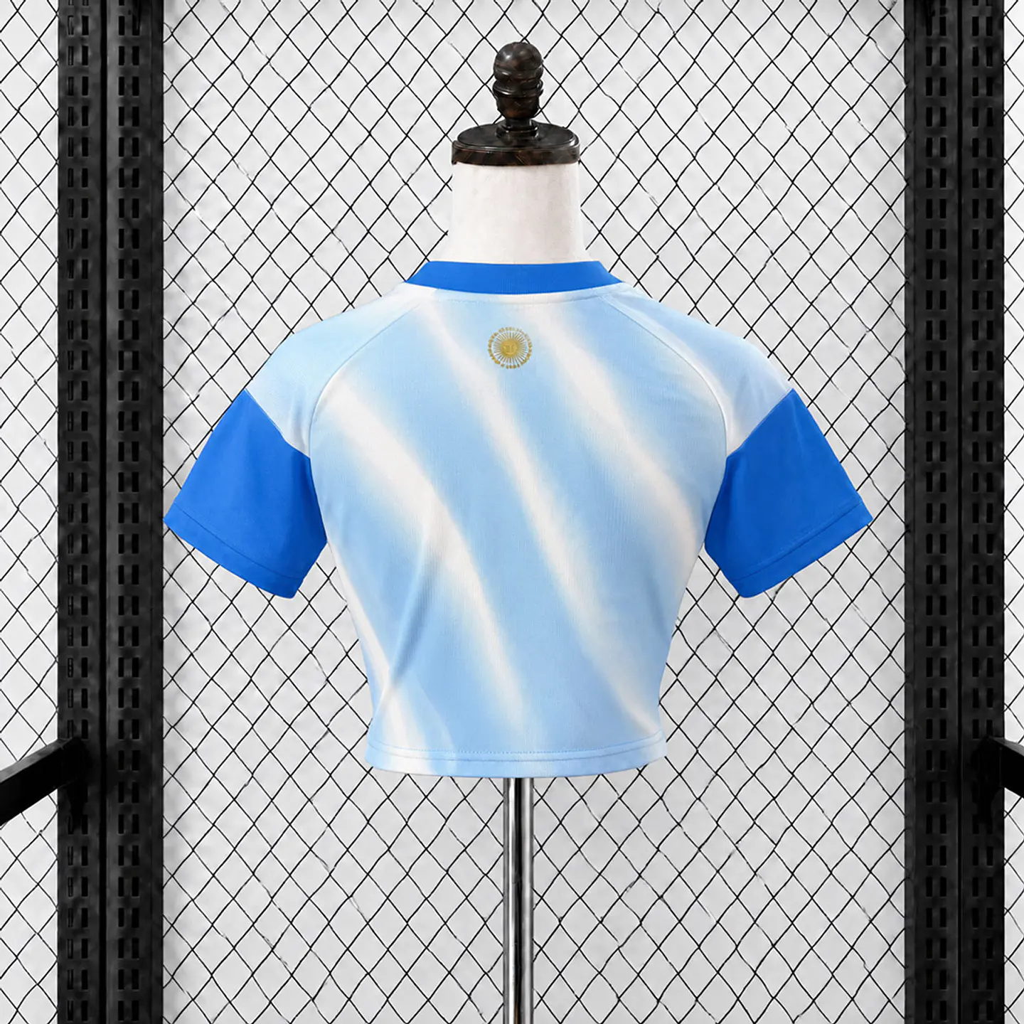 Top feminino Argentina 26/27 - Messi Tribute - Pré jogo 2