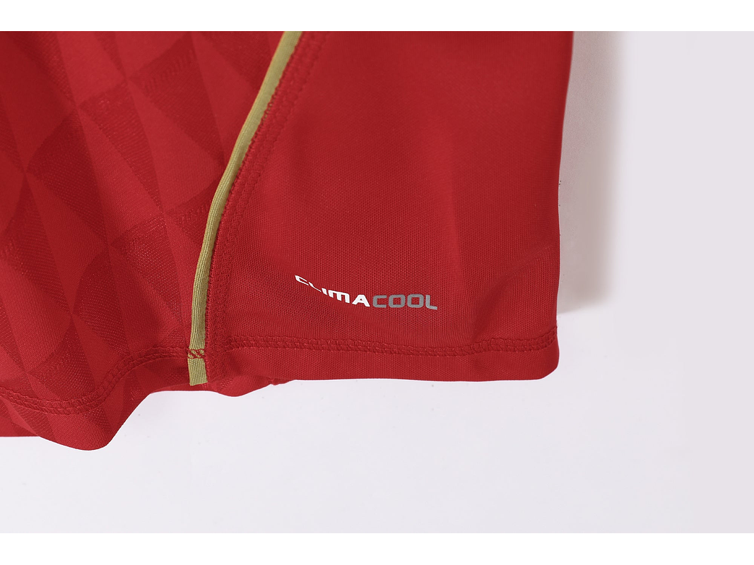 Liverpool 2010/11 (Home Kit) 7