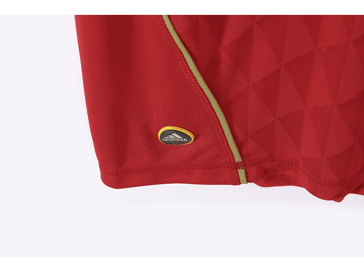 Liverpool 2010/11 (Home Kit) 9