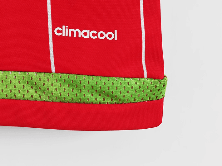 Gales 2015/16 (Home Kit) 4