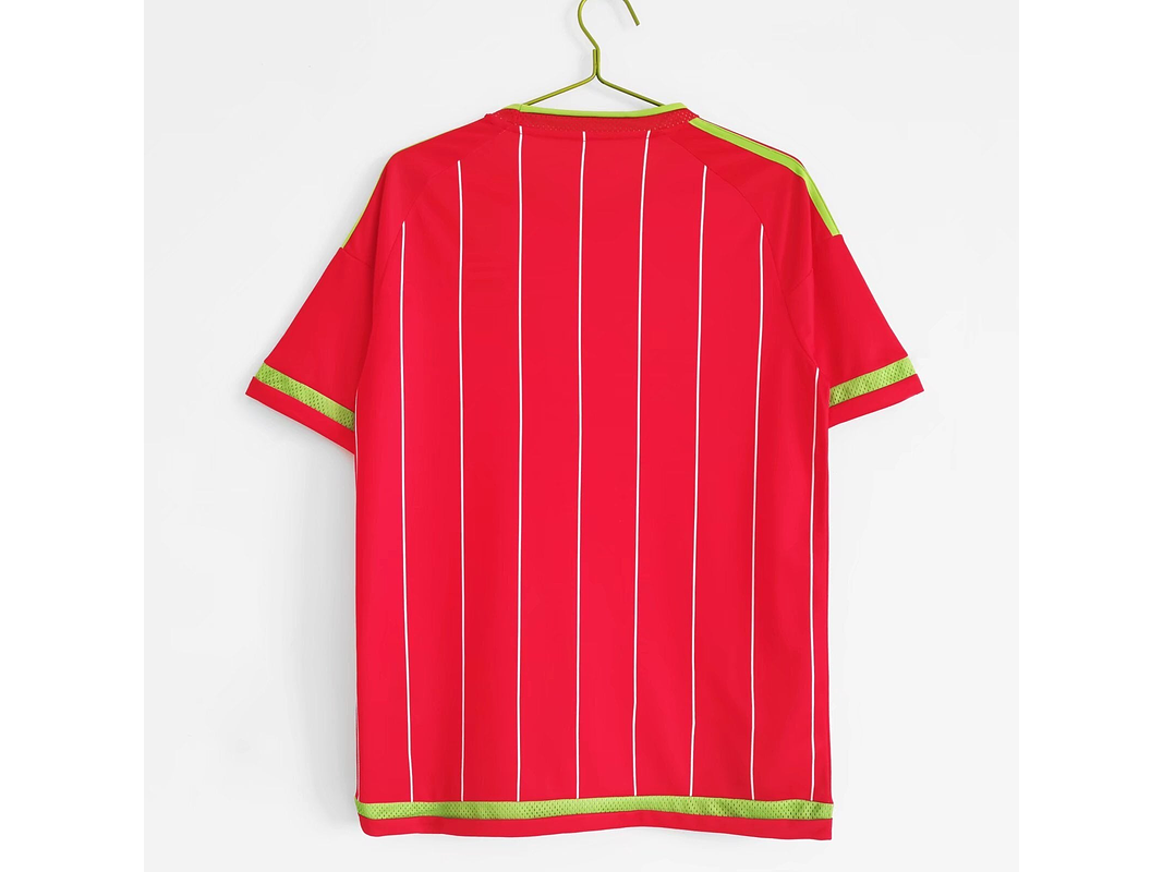 Gales 2015/16 (Home Kit) 8