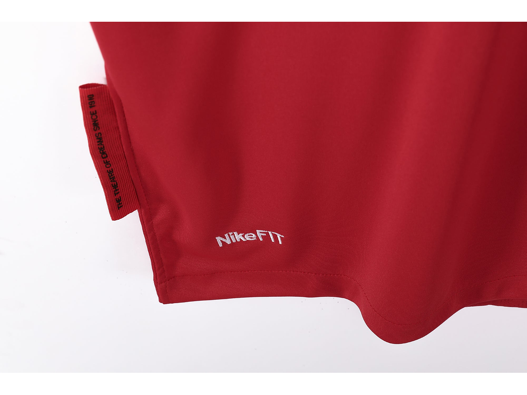 Manchester United 2010 (Home Kit) 3