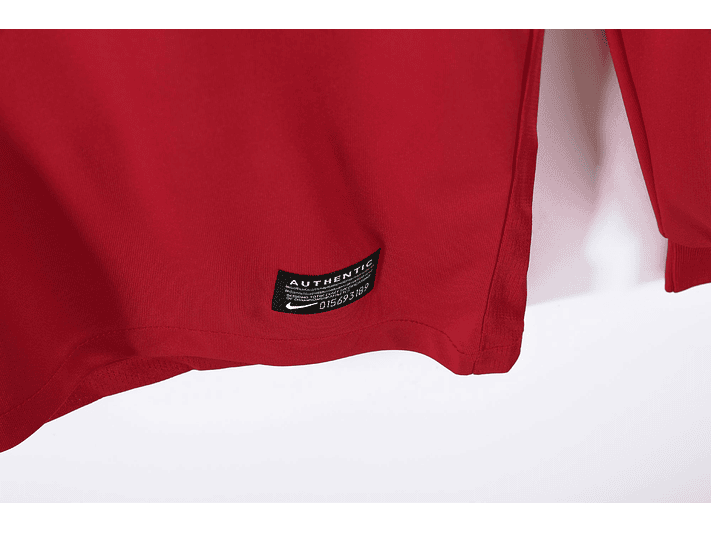 Manchester United 2010 (Home Kit – Long Sleeve) 9