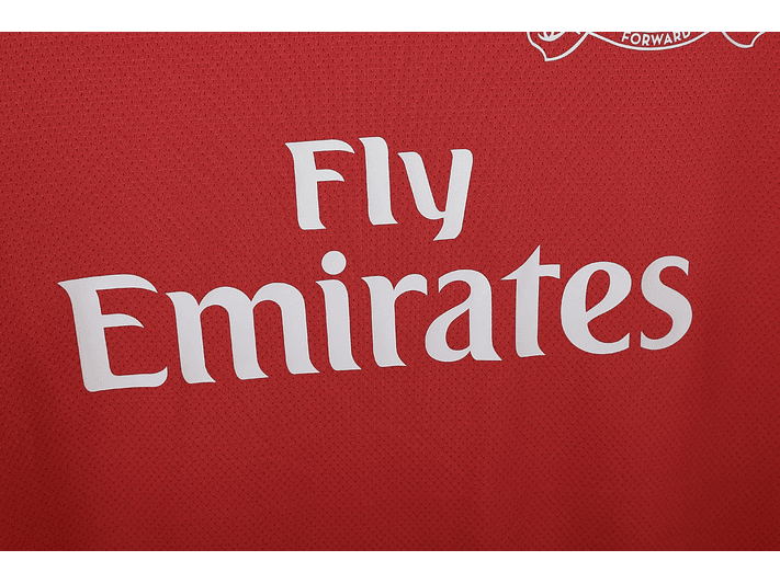Arsenal 2011/12 (Home Kit) 4