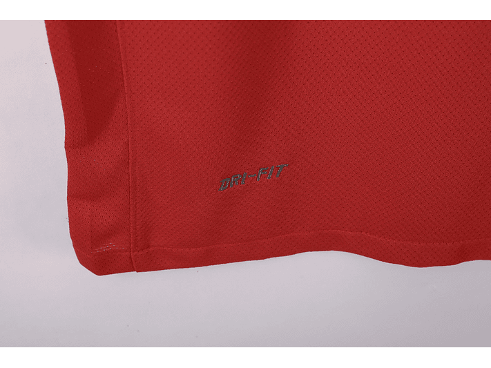 Arsenal 2011/12 (Home Kit) 14