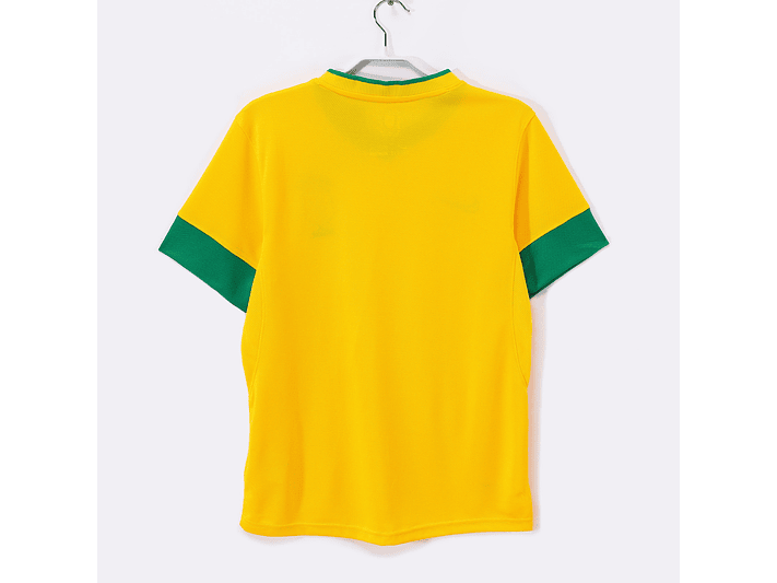 Brasil 2012/13 (Home Kit) 12