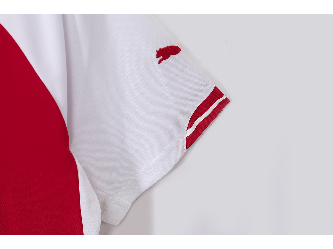 Arsenal 2014/15 (Home Kit) 10