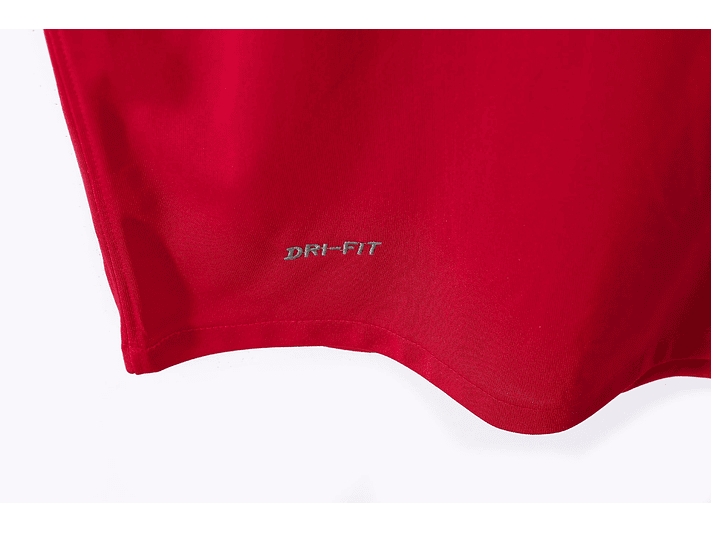 Arsenal 2010/11 (Home Kit) 6