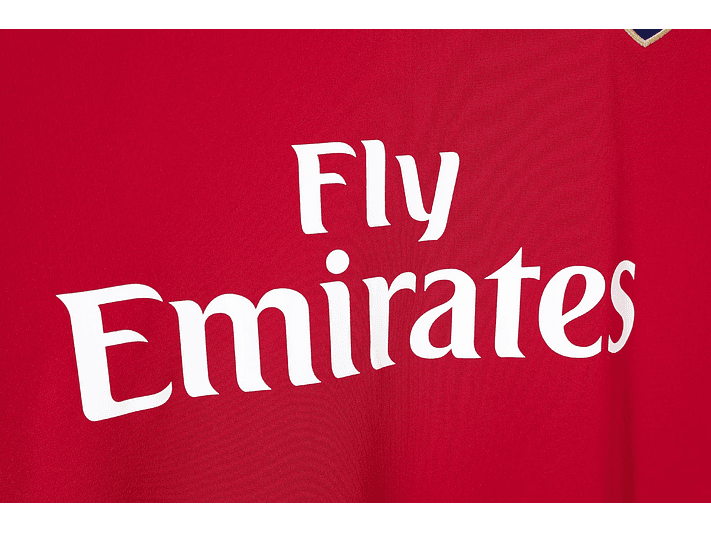 Arsenal 2010/11 (Home Kit) 9