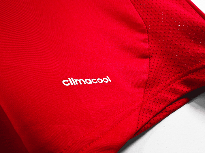 Bayern Munich 2013/14 (Home Kit) 5