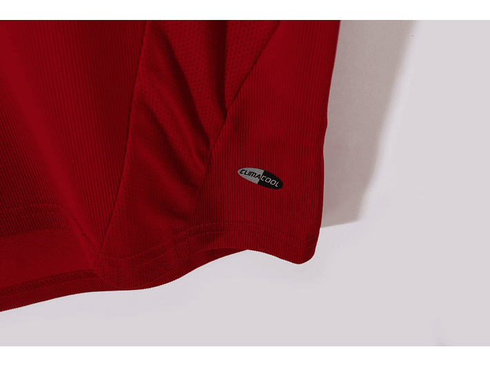 Bayern Munich 2006/07 (Home Kit) 7