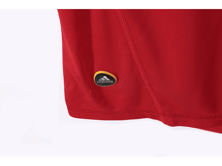España 2010 (Home Kit) 4