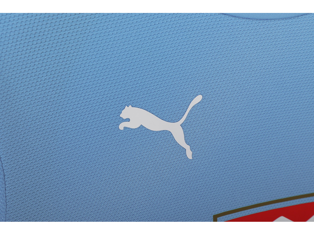 Tottenham Hotspur 2006/07 (Away Kit) 10