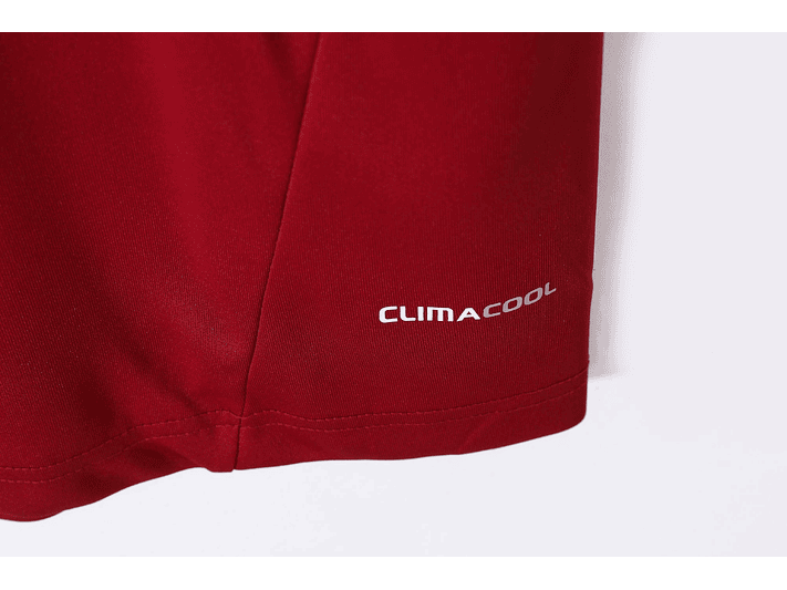 España 2012 (Home Kit) 3