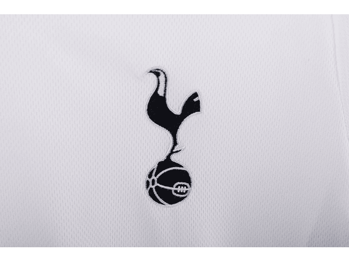 Tottenham Hotspur 2008/09 (Home Kit) 3