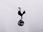 Tottenham Hotspur 2008/09 (Home Kit) - thumbnail 3