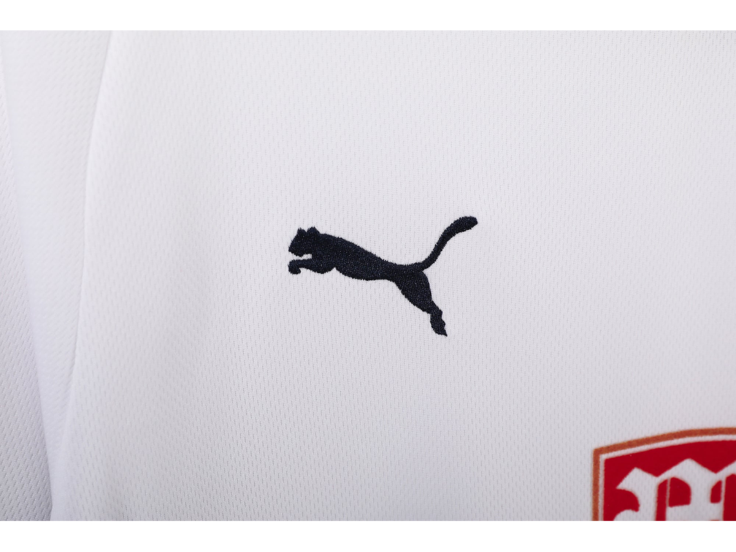 Tottenham Hotspur 2008/09 (Home Kit) 6