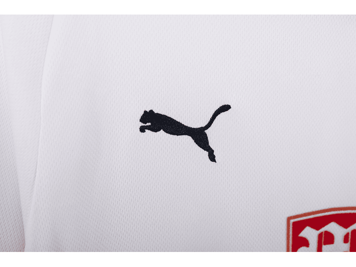 Tottenham Hotspur 2008/09 (Home Kit) 6