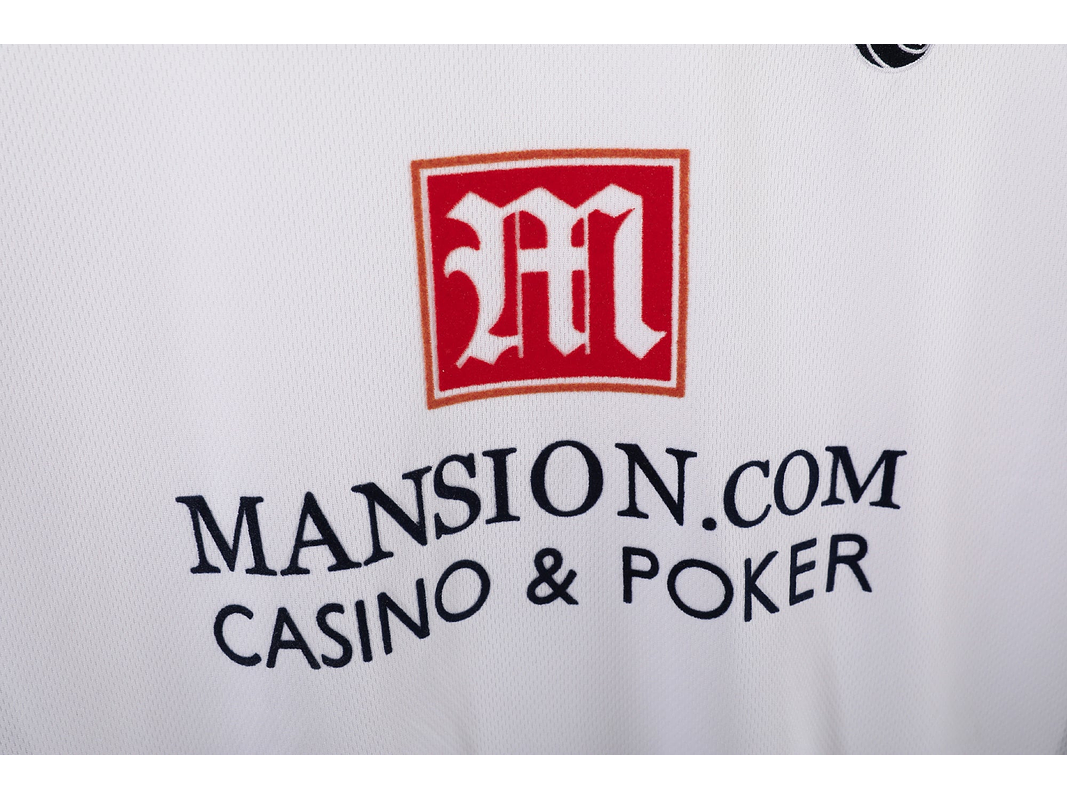 Tottenham Hotspur 2008/09 (Home Kit) 8