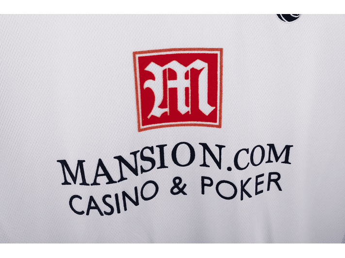 Tottenham Hotspur 2008/09 (Home Kit) 8