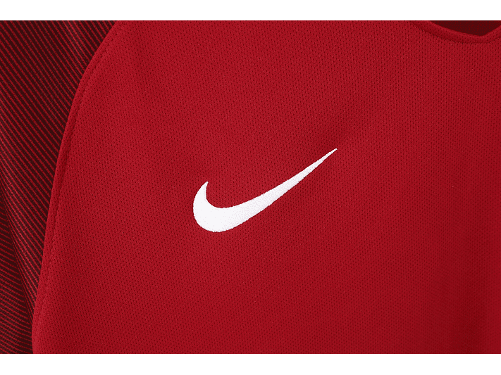 Portugal 2016 (Home Kit) 10