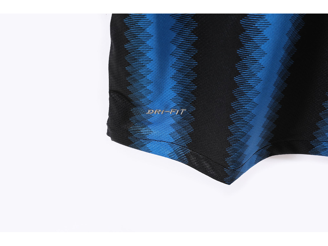 Inter de Milán 2010/11 (Home Kit) 5