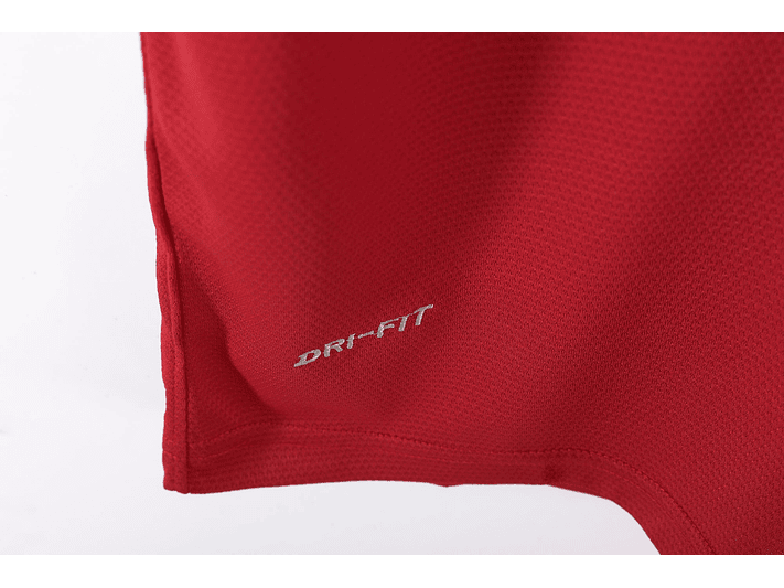 Manchester United 2013/14 (Home Kit) 10