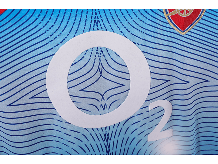 Arsenal 2002/04 (Away Kit) 4