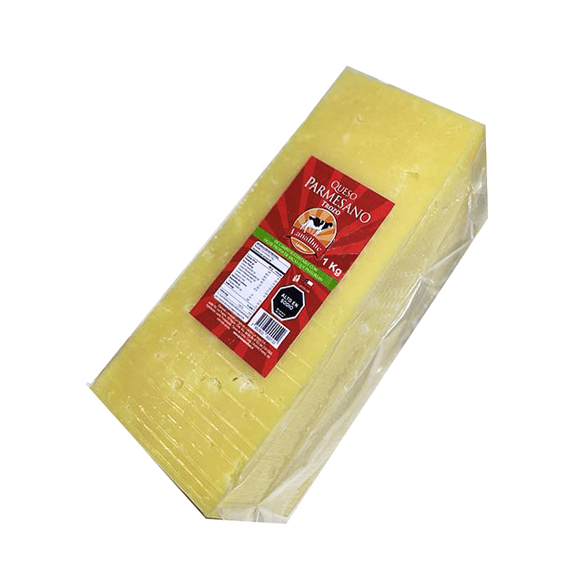 Queso Parmesano Trozo x 1 Kg.