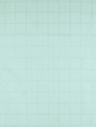 Mantel Netto 150x210 cms Rectangular Verde