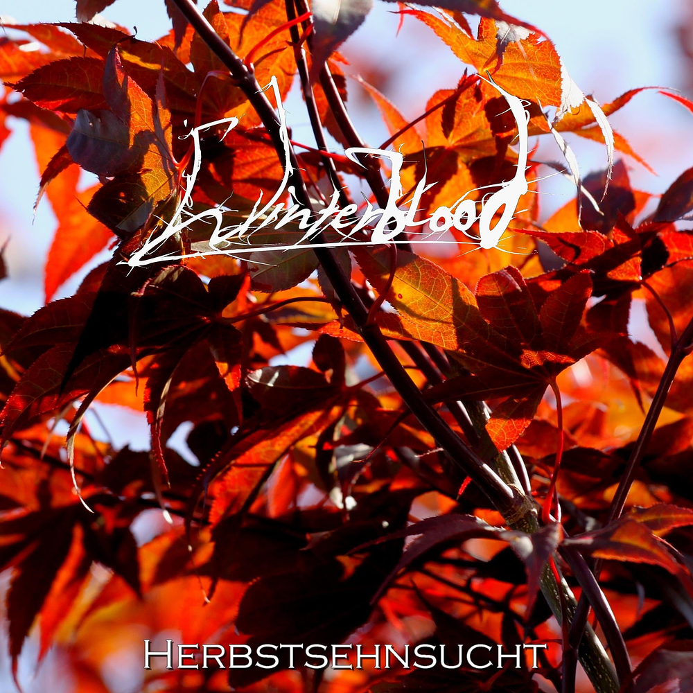 Winterblood "Herbstsehnsucht" CD 