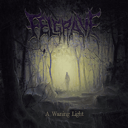 Felgrave "A Waning Light" CD 