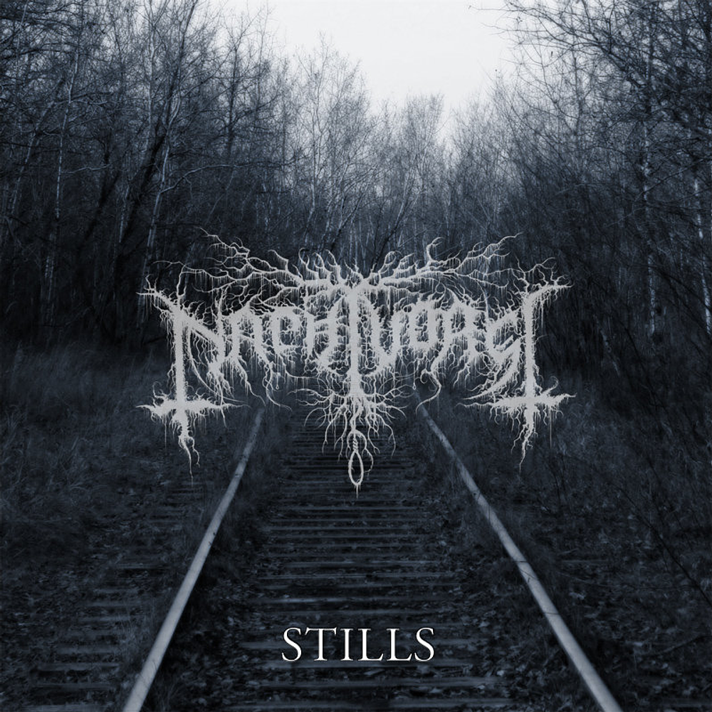 Nachtvorst "Stills" CD