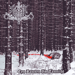 Skady "Eyn Raunen Im Tannicht" CD
