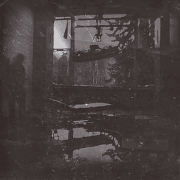 Wolfshauch "Form-Mensch" CD