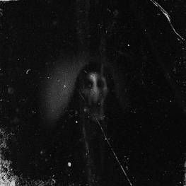 Adytum / Darkness Enshrouded The Mist ‎"The Realm Of Rats And Pestilence" vinyl Split 7"EP 
