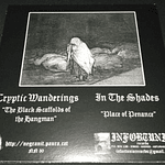 Cryptic Wanderings / In The Shades "Split" vinyl 7"EP