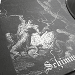 Öde "Schimmenwoud" LP vinyl 