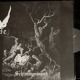 Öde "Schimmenwoud" LP vinyl 