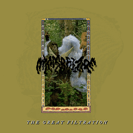 Mycorrhizae "The Great Filtration" CD