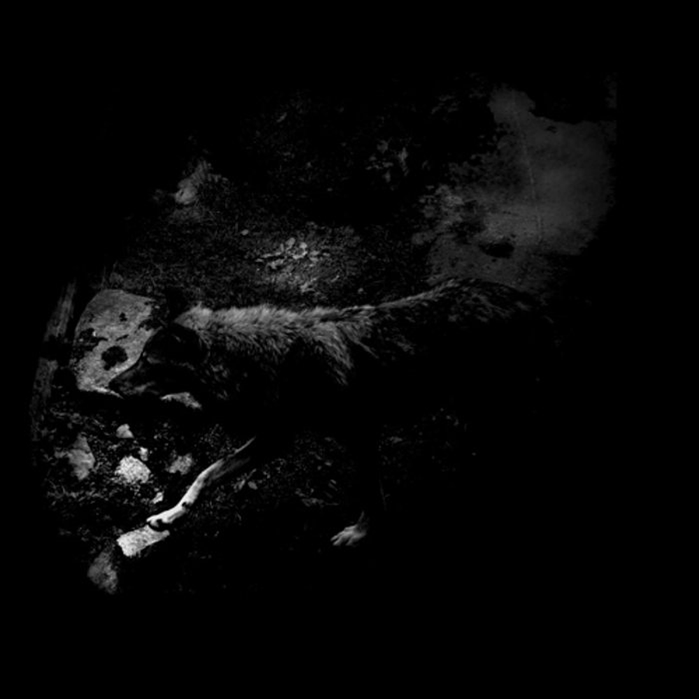 October Falls "The Womb Of Primordial Nature" CD