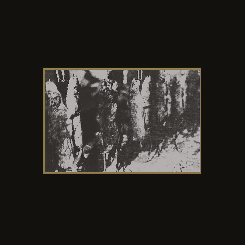 Ancient Meat Revived "A Tribute To Cold Meat Industry" Split CD Digipack 