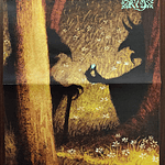 Old Silver Key / Herbarium "Secrets Untold" Split LP Vinyl!!