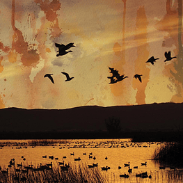 Stellar Descent ".​.​.​fading​.​.​." CD with Slipcase!!