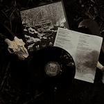 Lóstregos "Alzamento No Norte" LP Black vinyl!!