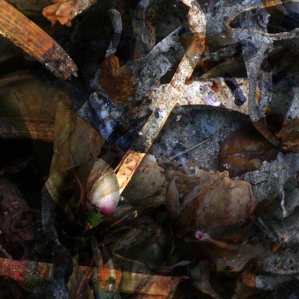 The River "A Hollow Full Of Hope" CD 