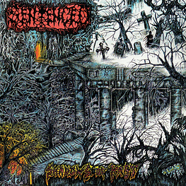 Sentenced "Shadows Of The Past" CD Digipack Bonustracks 